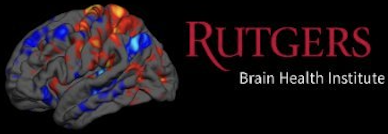 IEEEBrain Logo